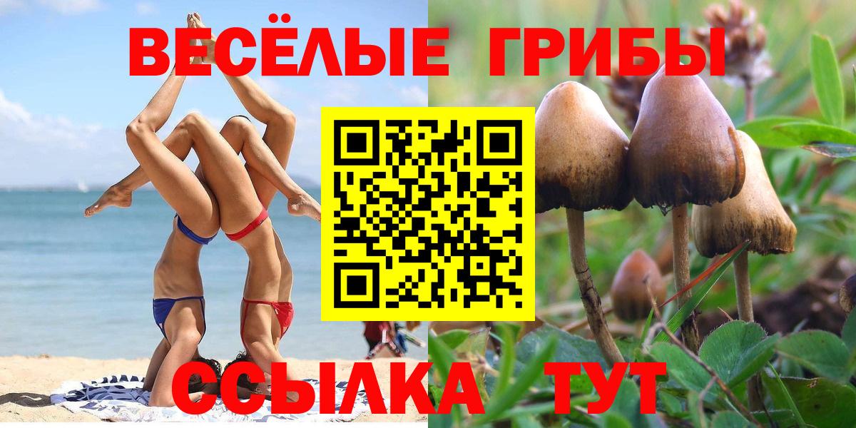 цены наркотик  Галлюциногенные грибы прущие грибы  Вход с VPN  Петровск  Галлюциногенные грибы мухоморы 